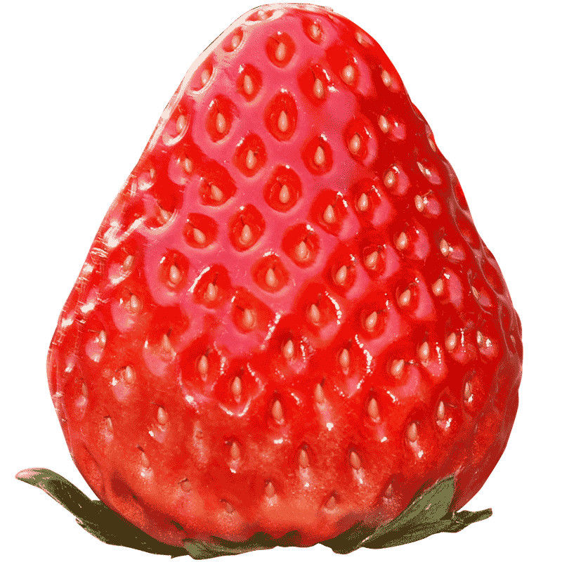 丹东99牛奶草莓新鲜水果5斤应当季SF包邮红颜奶油大甜草莓3礼盒